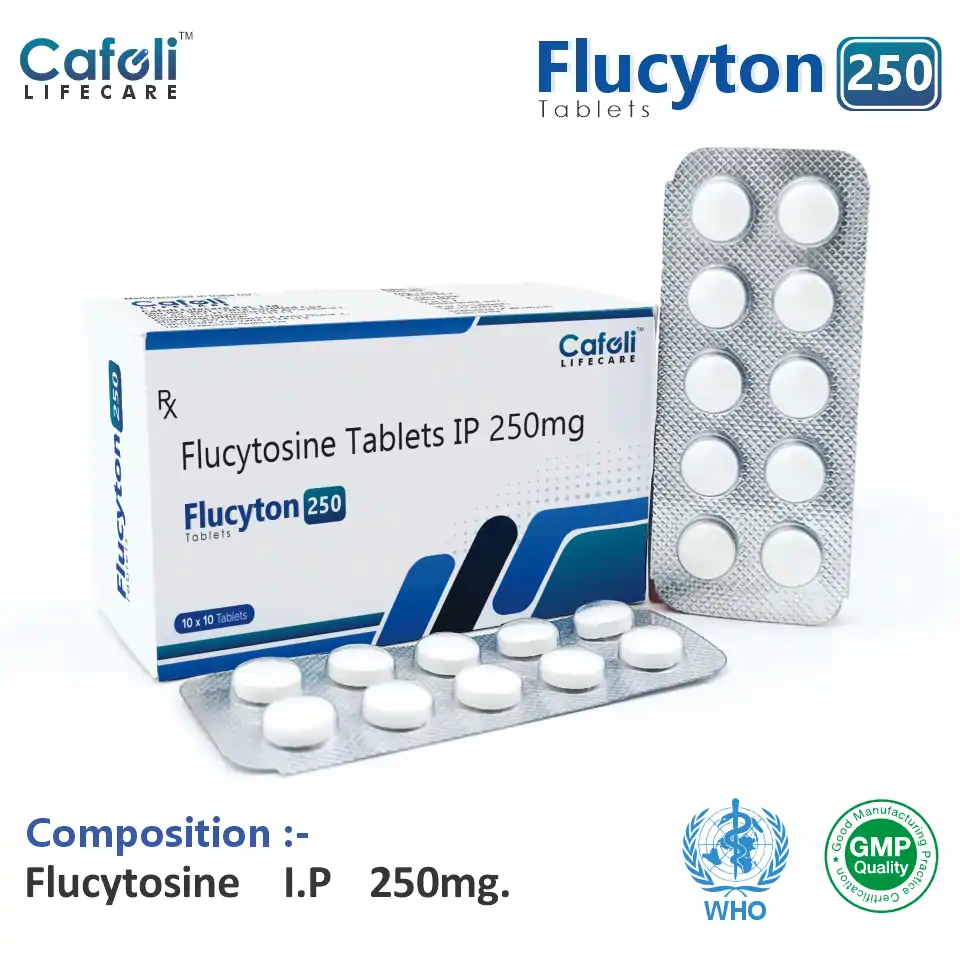 Flucytosine 250mg Tablet PCD Pharma Franchise